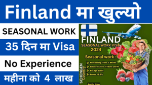 How To Apply Finland seasonal work visa