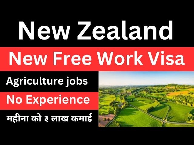 New Zealand dairy farm jobs