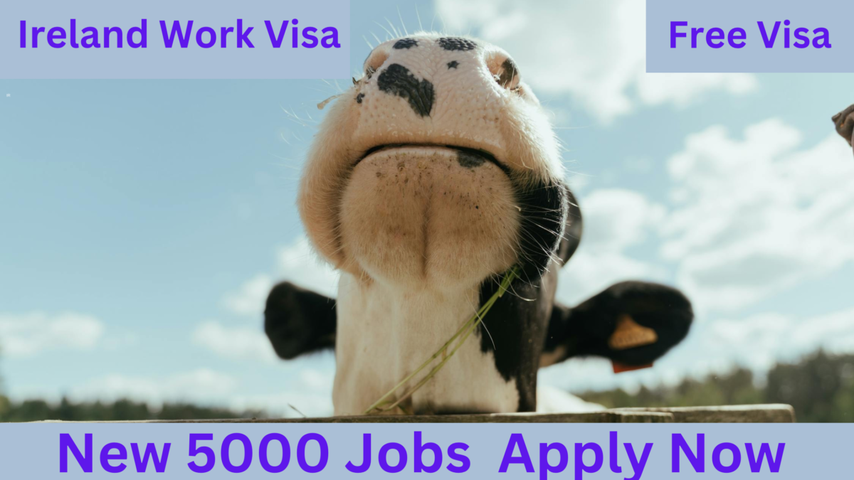 Ireland work visa 2024