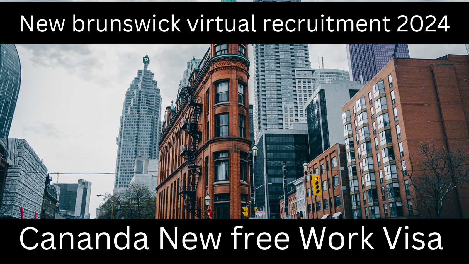 New brunswick virtual recruitment 2024