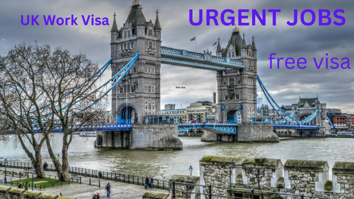 Uk work visa 2024