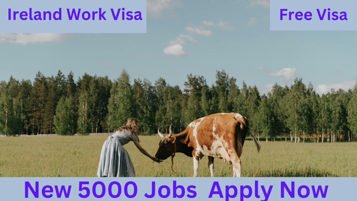 IRELAND WORK VISA 2024 - URGENT JOBS